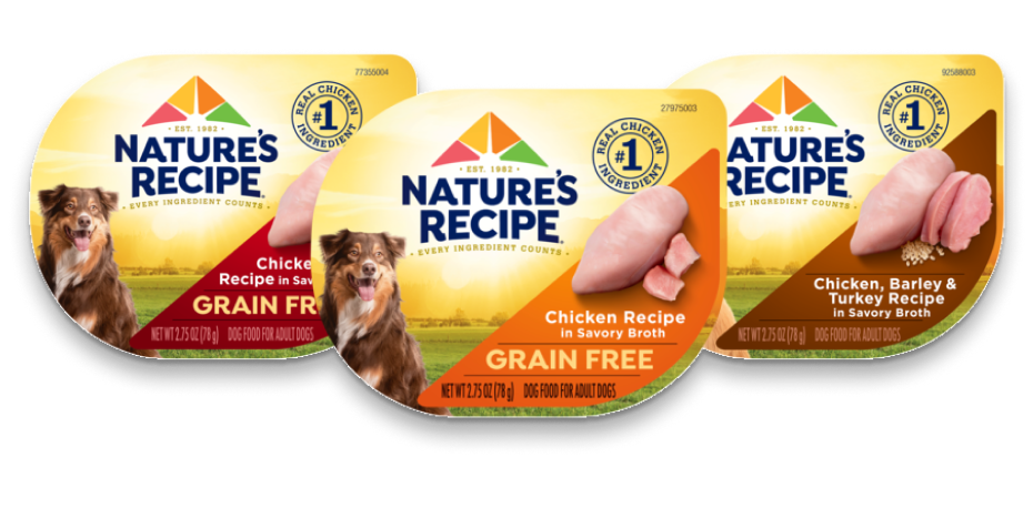 Wet Dog Recipes